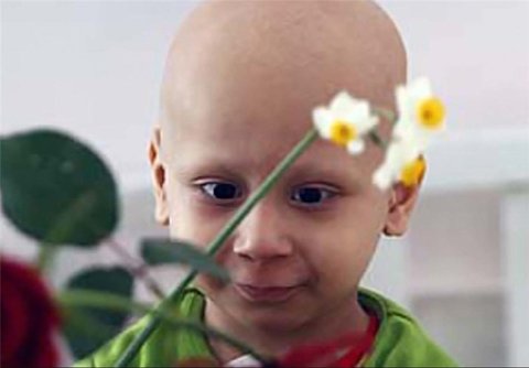 ایمنا: موسسه خیریه"نور محیی اصفهان" افتتاح می شود